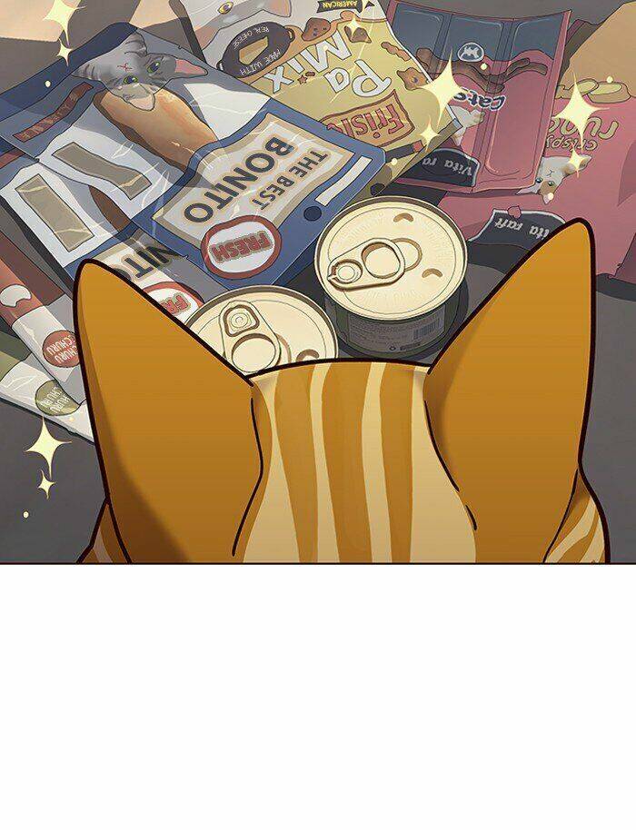 Hóa Thân Thành Mèo Chap 70 - Next Chap 71