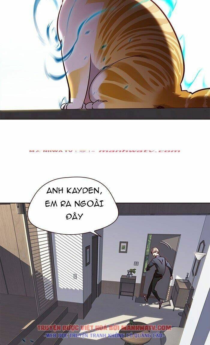 Hóa Thân Thành Mèo Chap 73 - Next Chap 74