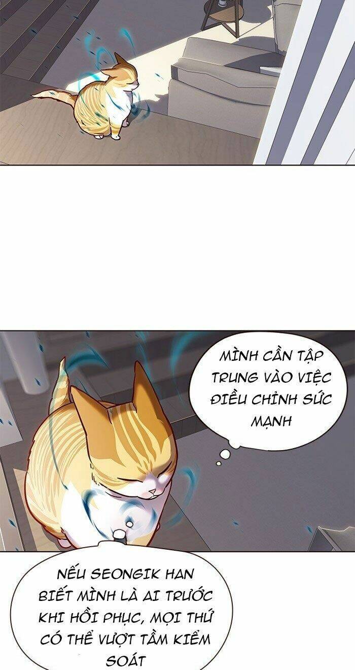 Hóa Thân Thành Mèo Chap 73 - Next Chap 74