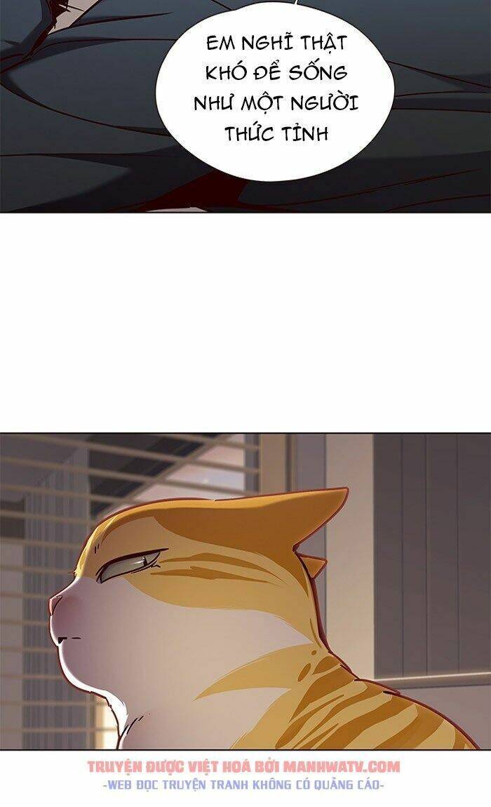 Hóa Thân Thành Mèo Chap 76 - Next Chap 77