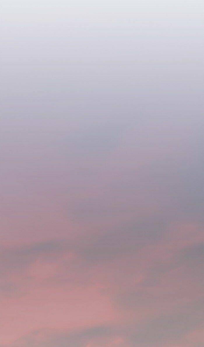 Hóa Thân Thành Mèo Chap 80 - Next Chap 81