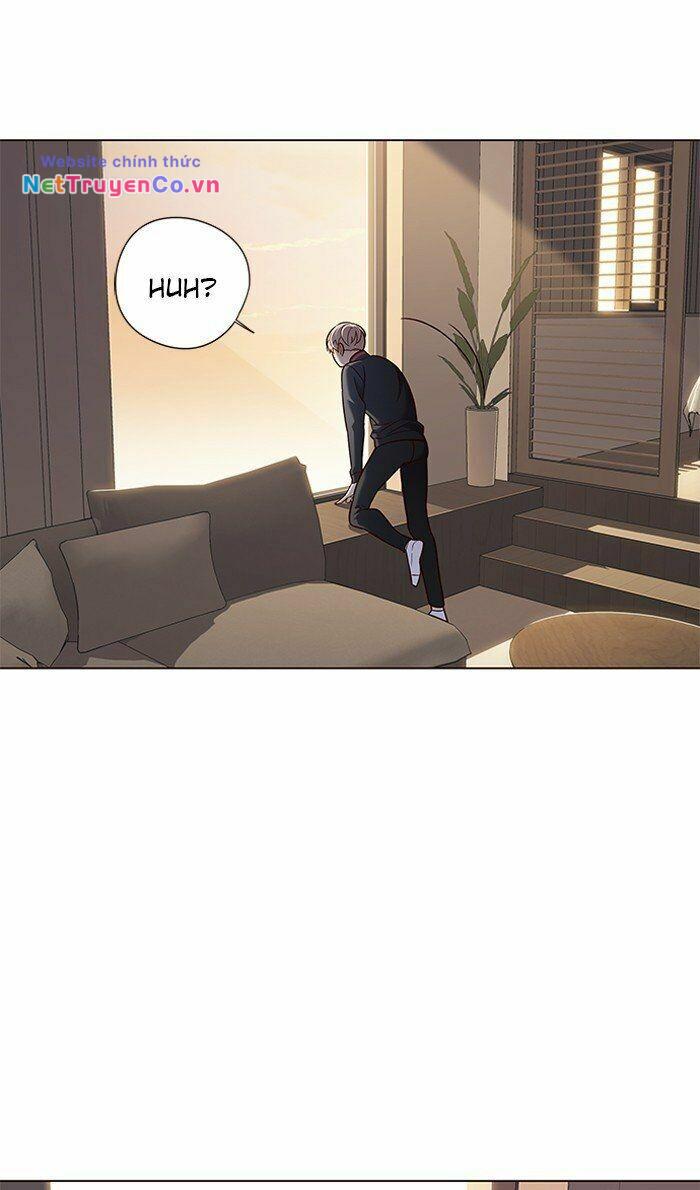 Hóa Thân Thành Mèo Chap 80 - Next Chap 81