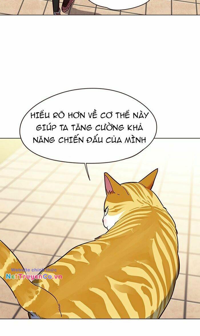 Hóa Thân Thành Mèo Chap 80 - Next Chap 81