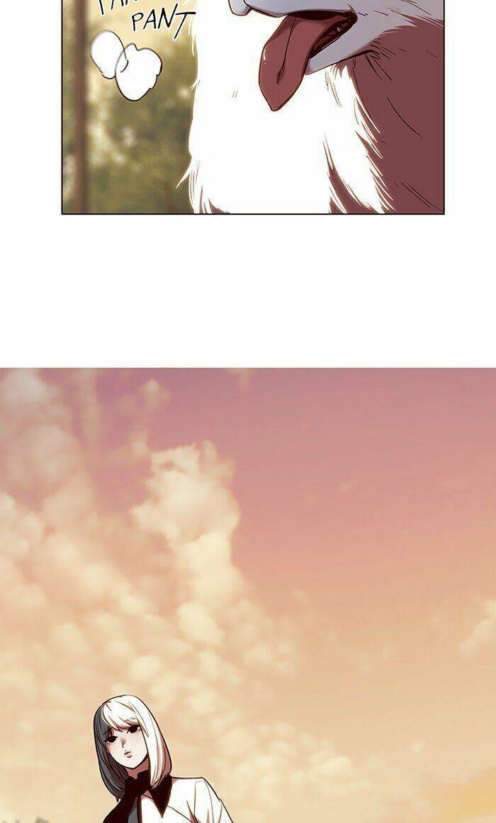 Hóa Thân Thành Mèo Chap 80 - Next Chap 81