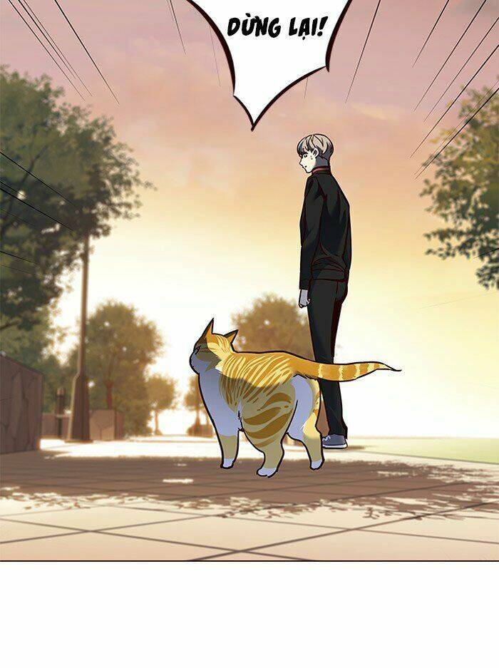 Hóa Thân Thành Mèo Chap 80 - Next Chap 81