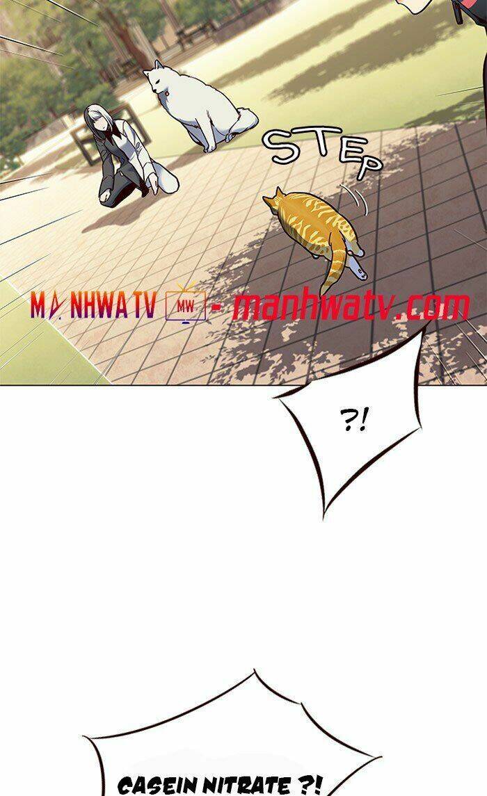 Hóa Thân Thành Mèo Chap 80 - Next Chap 81