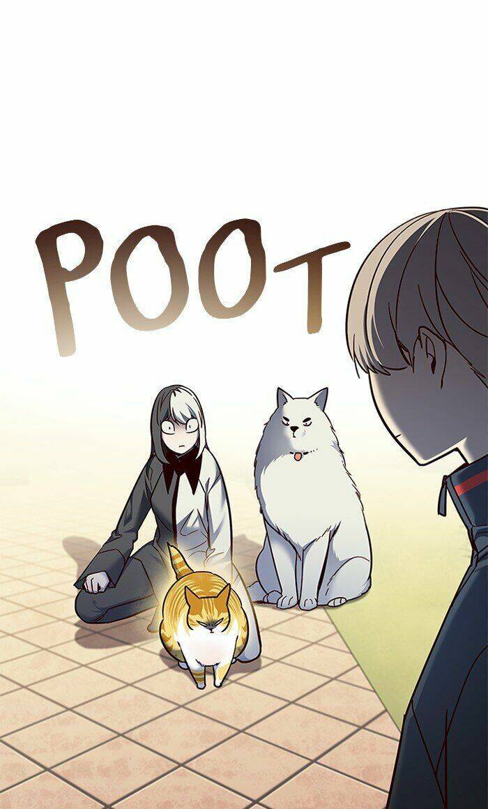 Hóa Thân Thành Mèo Chap 80 - Next Chap 81