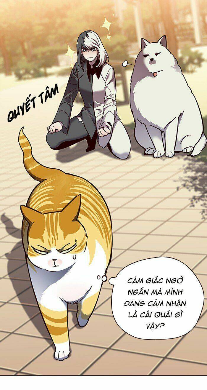 Hóa Thân Thành Mèo Chap 81 - Next Chap 82