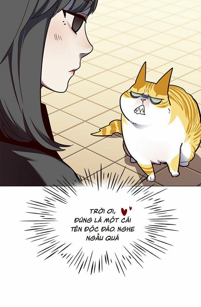 Hóa Thân Thành Mèo Chap 81 - Next Chap 82
