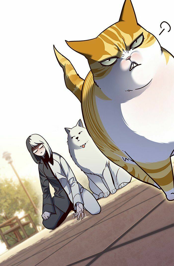 Hóa Thân Thành Mèo Chap 81 - Next Chap 82