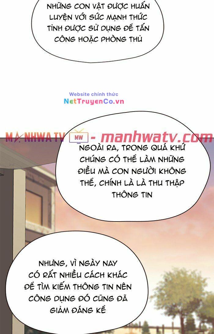 Hóa Thân Thành Mèo Chap 81 - Next Chap 82