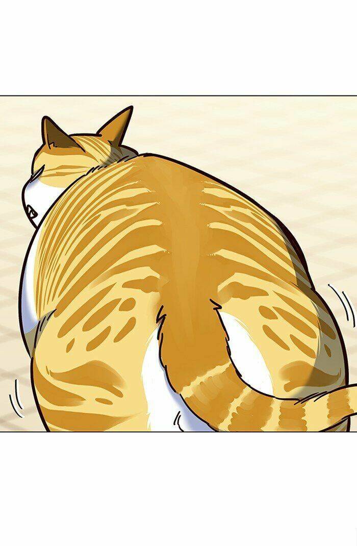 Hóa Thân Thành Mèo Chap 81 - Next Chap 82