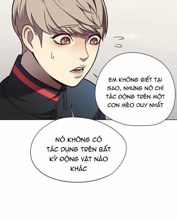 Hóa Thân Thành Mèo Chap 81 - Next Chap 82