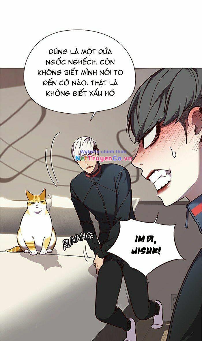 Hóa Thân Thành Mèo Chap 82 - Next Chap 83