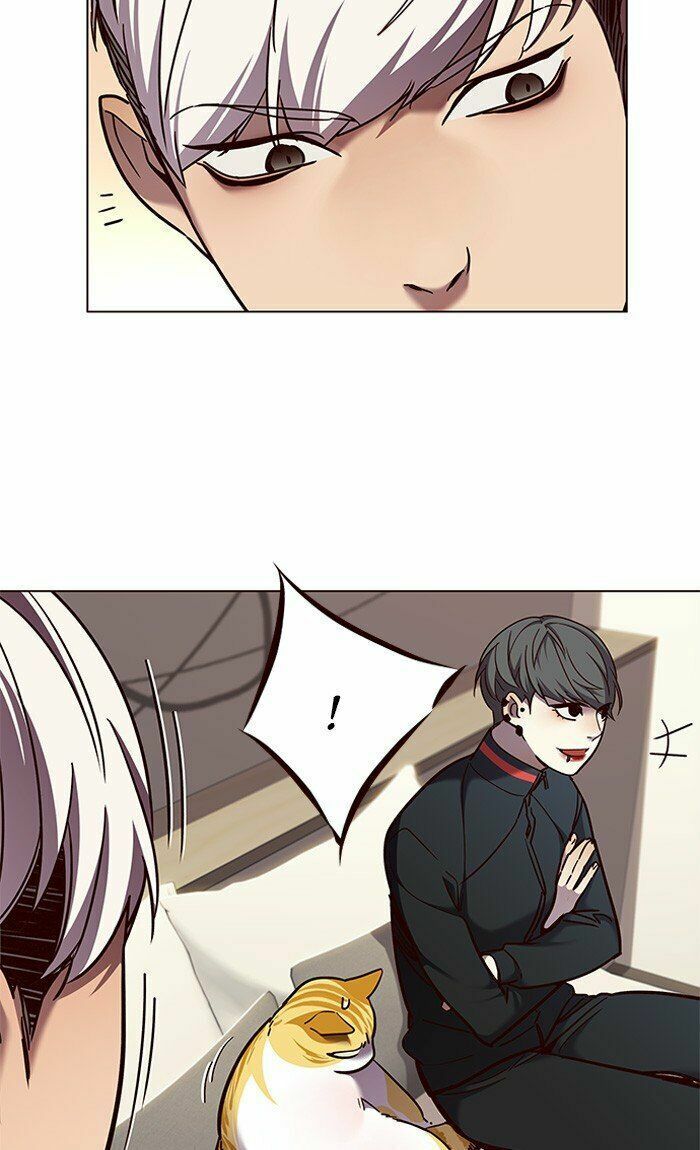 Hóa Thân Thành Mèo Chap 82 - Next Chap 83