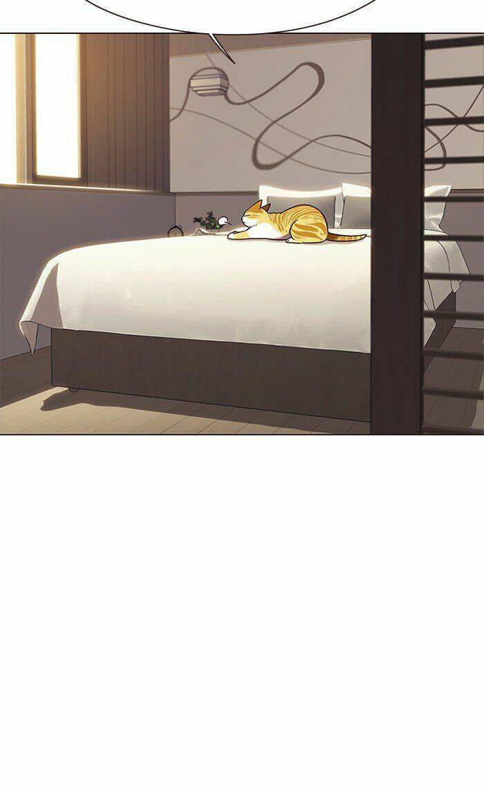 Hóa Thân Thành Mèo Chap 82 - Next Chap 83