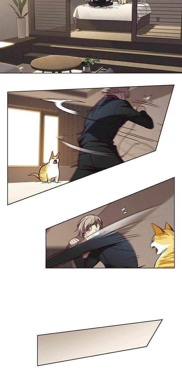 Hóa Thân Thành Mèo Chap 83 - Next Chap 84