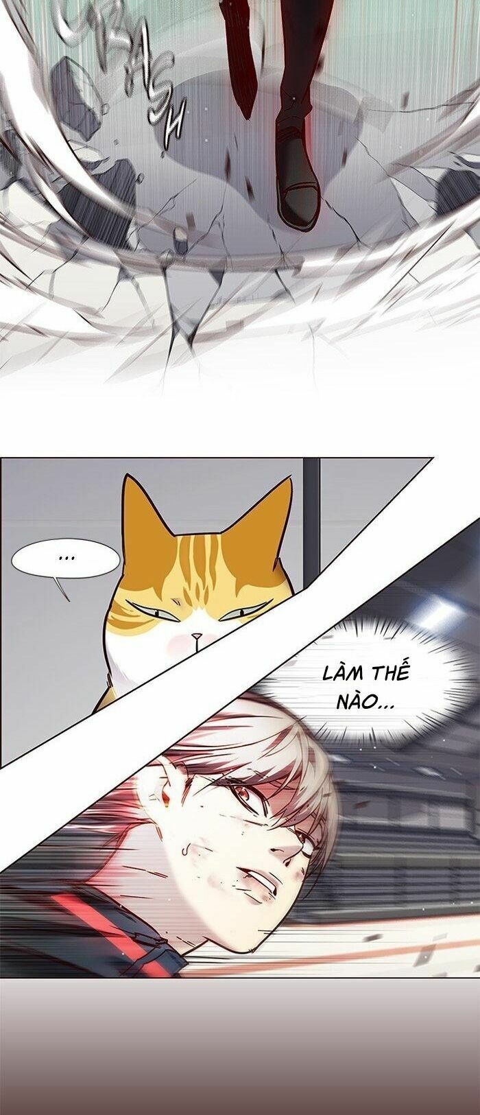 Hóa Thân Thành Mèo Chap 87 - Next Chap 88