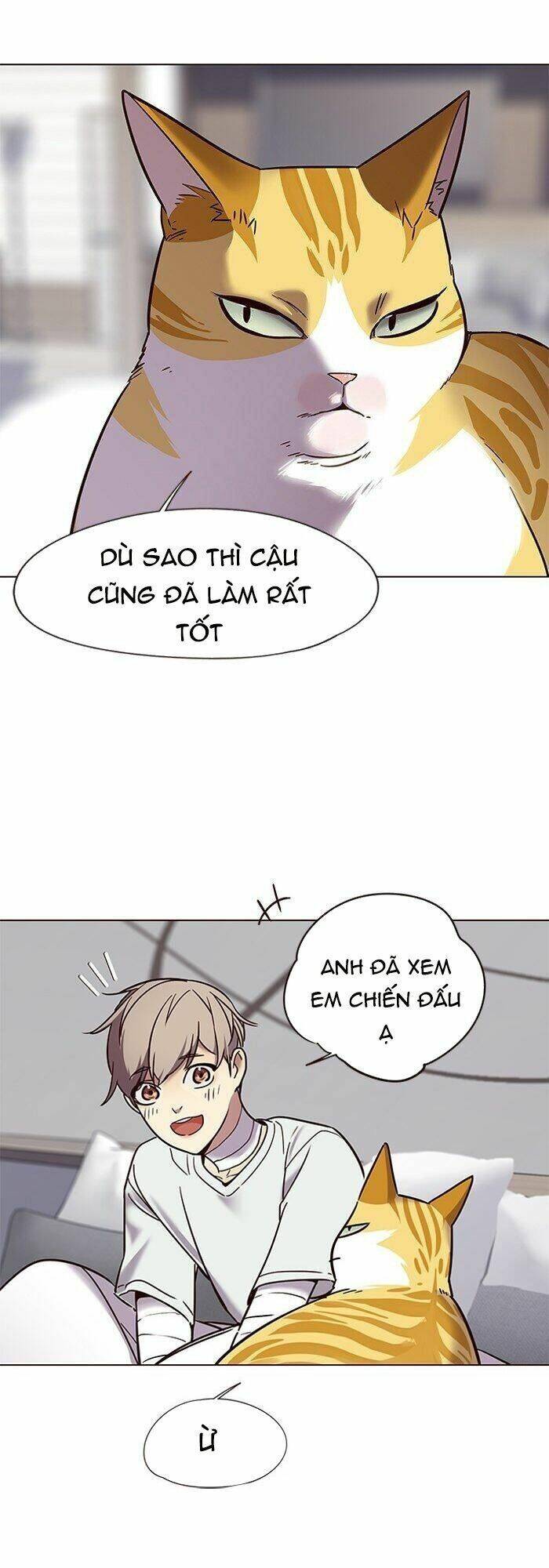 Hóa Thân Thành Mèo Chap 88 - Next Chap 89