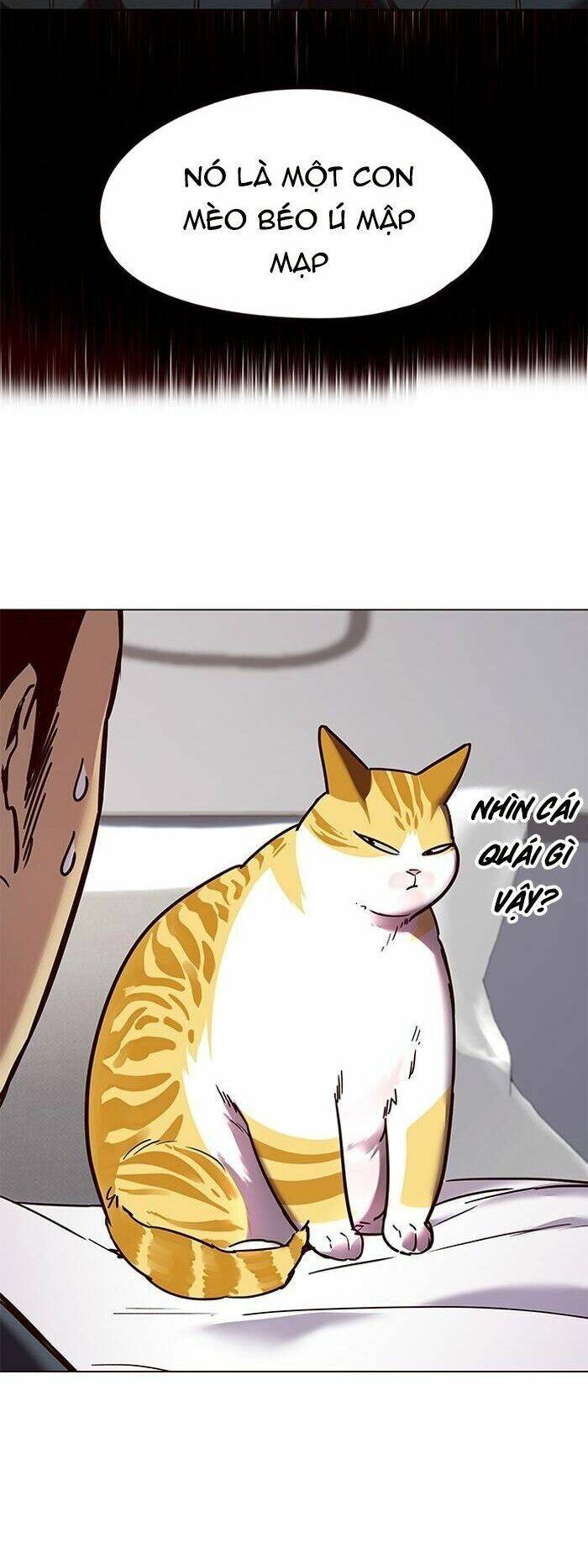 Hóa Thân Thành Mèo Chap 89 - Next Chap 90