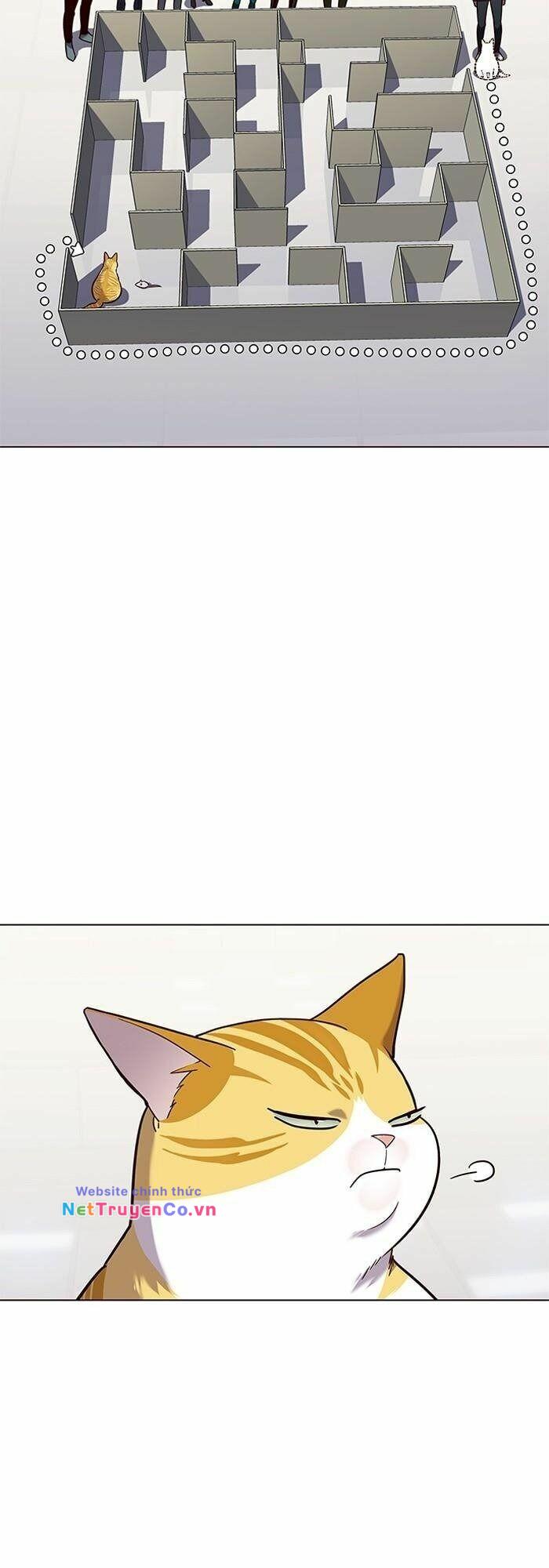 Hóa Thân Thành Mèo Chap 89 - Next Chap 90