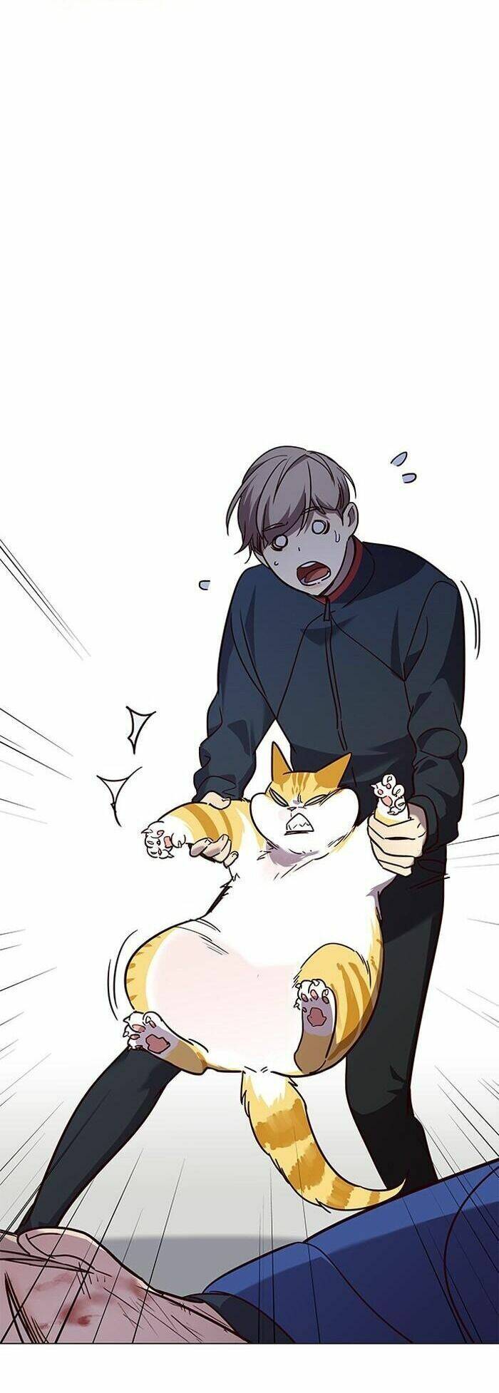 Hóa Thân Thành Mèo Chap 89 - Next Chap 90