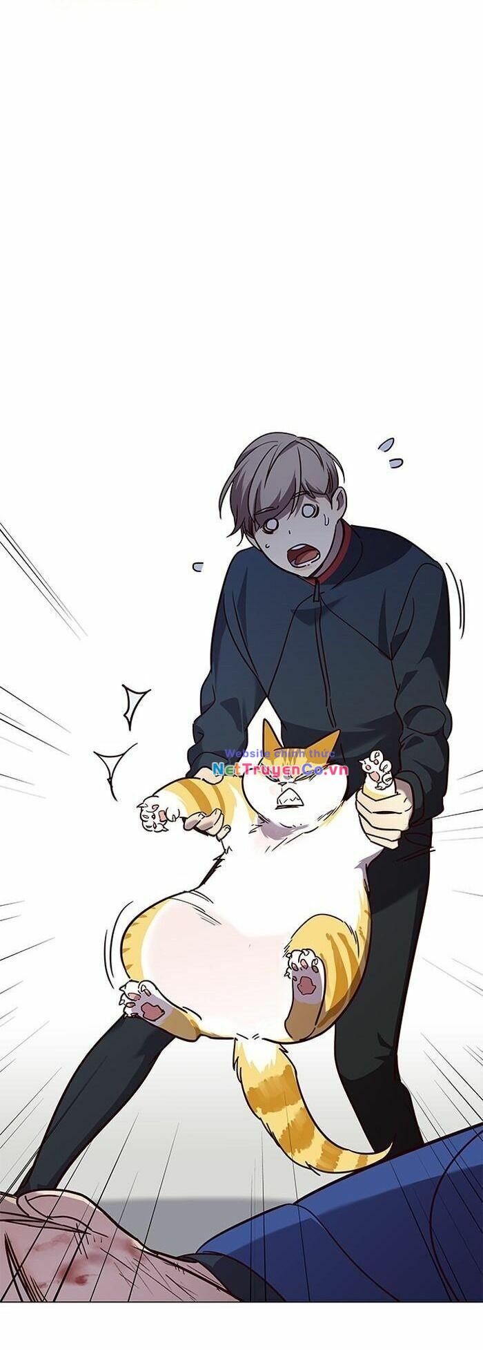 Hóa Thân Thành Mèo Chap 89 - Next Chap 90