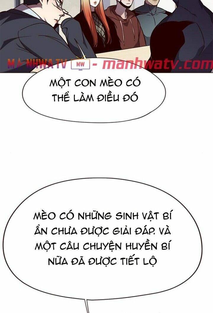 Hóa Thân Thành Mèo Chap 90 - Next Chap 91