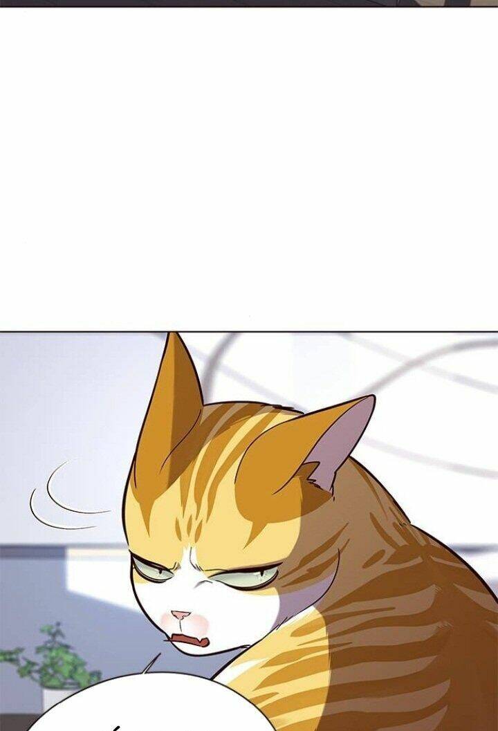 Hóa Thân Thành Mèo Chap 90 - Next Chap 91