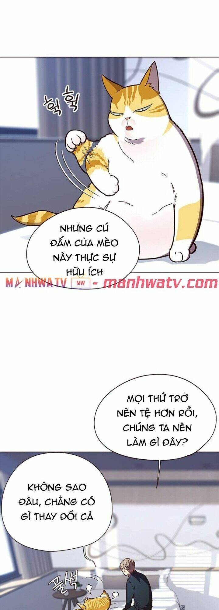 Hóa Thân Thành Mèo Chap 90 - Next Chap 91