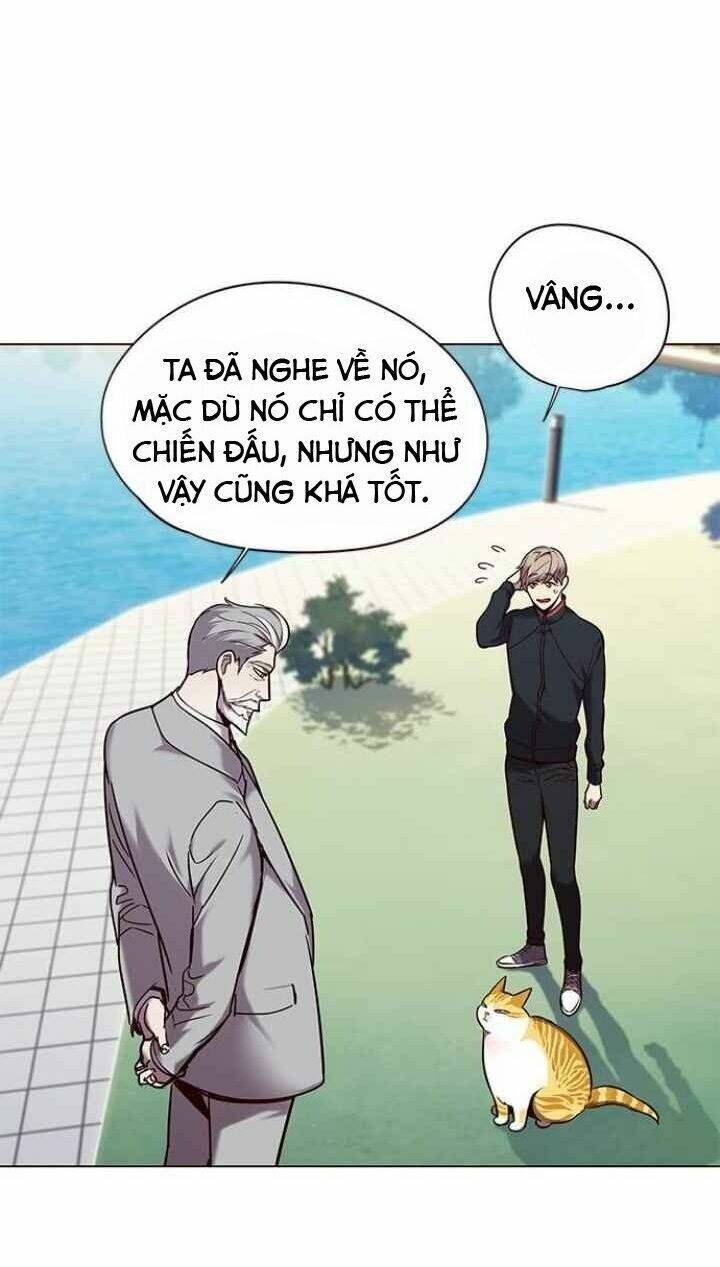 Hóa Thân Thành Mèo Chap 92 - Next Chap 93