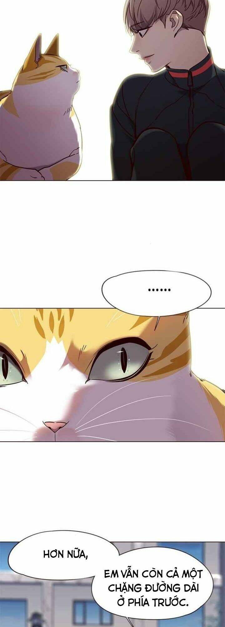 Hóa Thân Thành Mèo Chap 92 - Next Chap 93