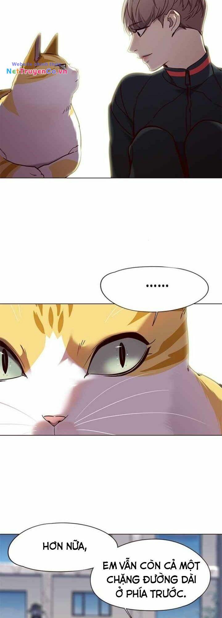 Hóa Thân Thành Mèo Chap 92 - Next Chap 93