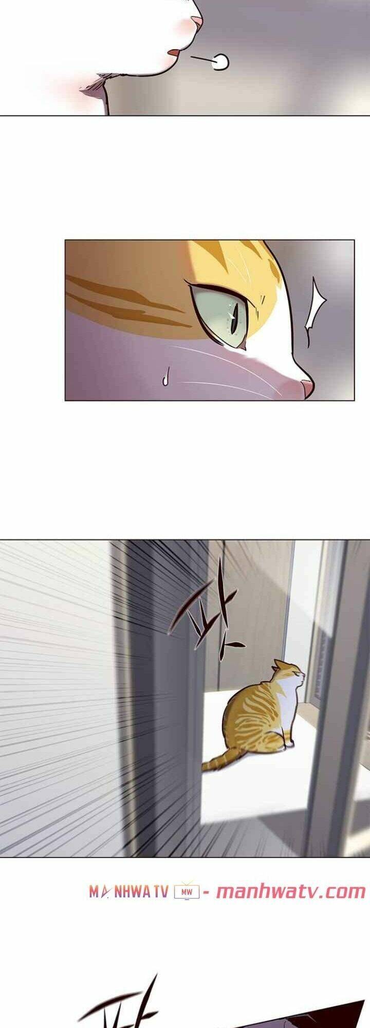 Hóa Thân Thành Mèo Chap 92 - Next Chap 93