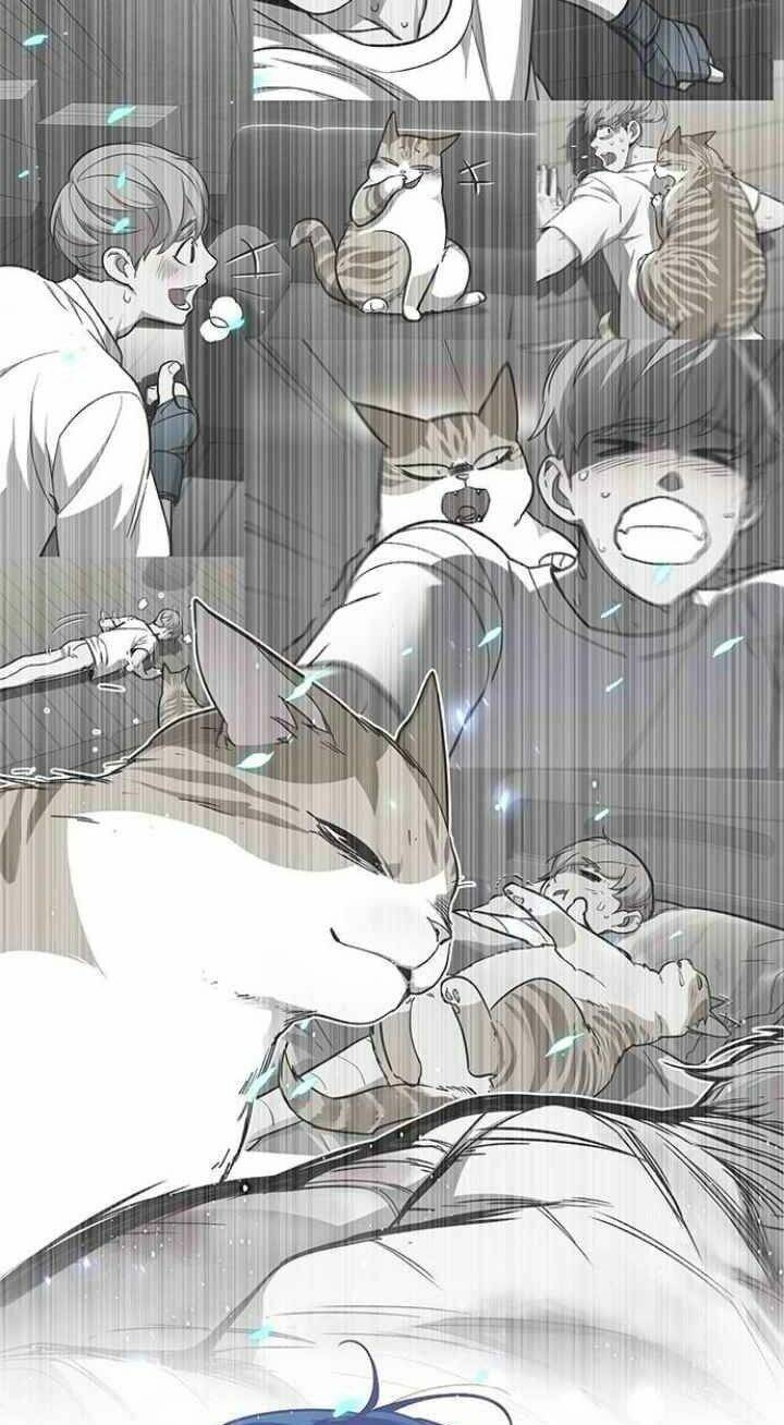 Hóa Thân Thành Mèo Chap 93 - Next Chap 94