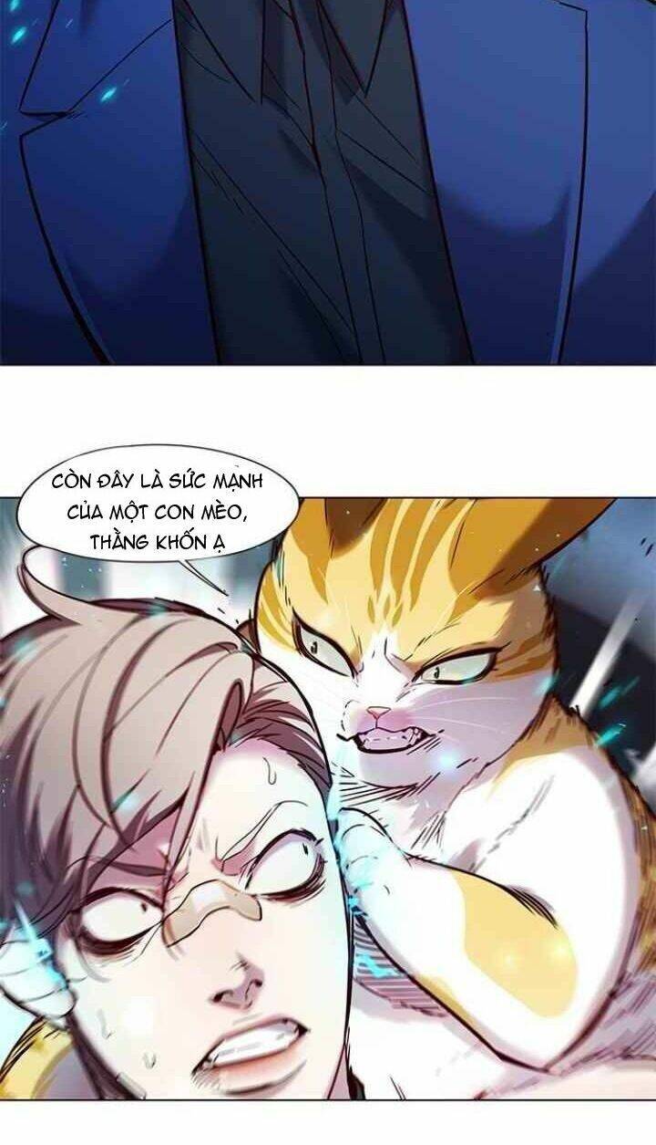 Hóa Thân Thành Mèo Chap 93 - Next Chap 94