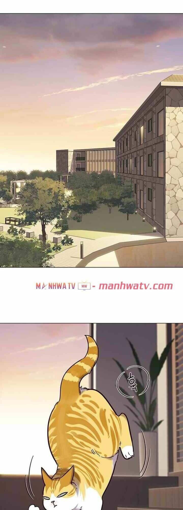 Hóa Thân Thành Mèo Chap 94 - Next Chap 95