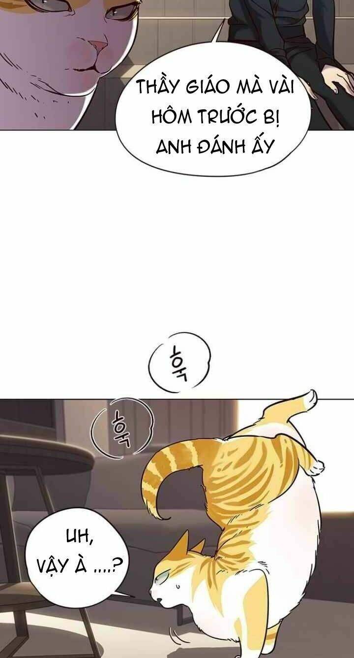 Hóa Thân Thành Mèo Chap 94 - Next Chap 95