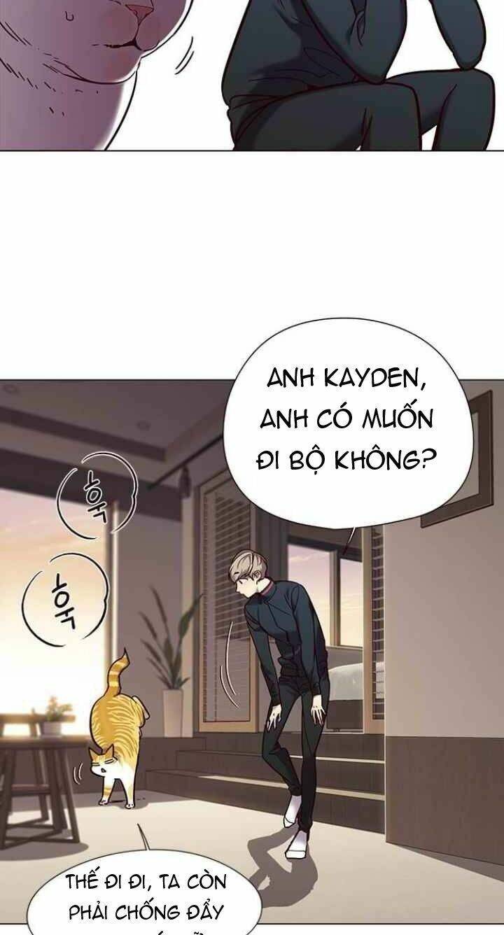 Hóa Thân Thành Mèo Chap 94 - Next Chap 95