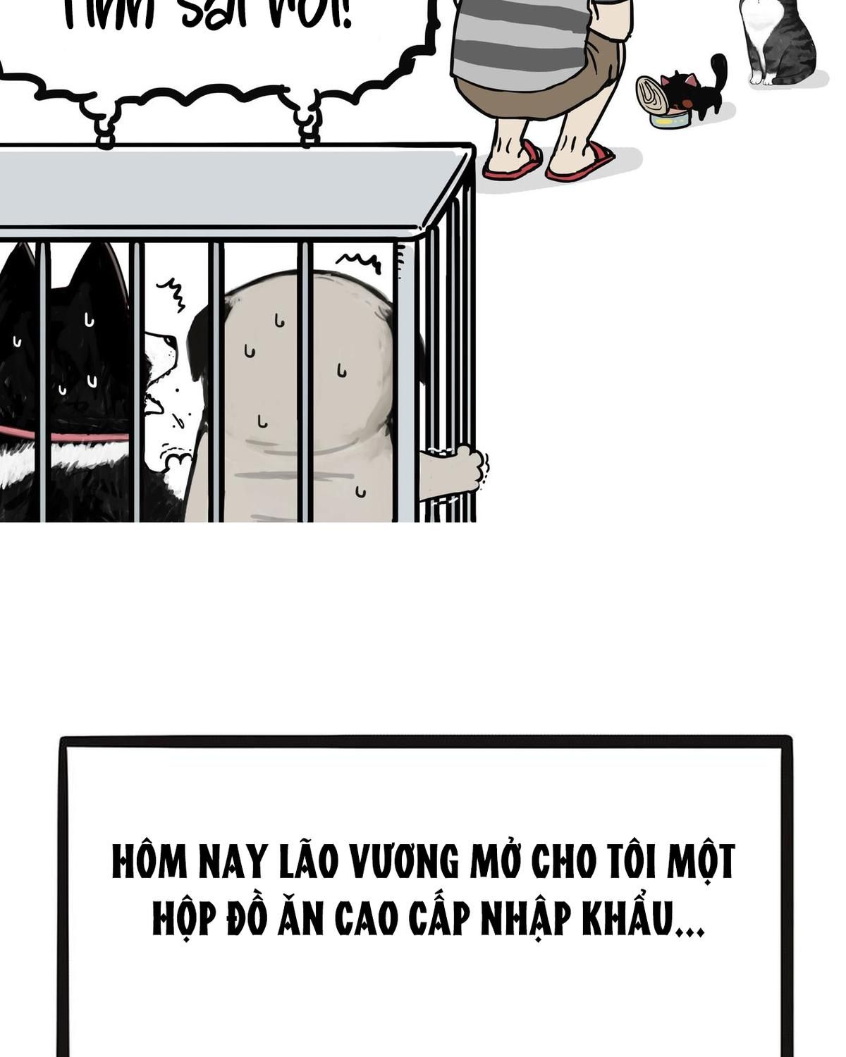 Hoàng Thượng và Ba Trát Hắc Chap 139 - Next Chap 140