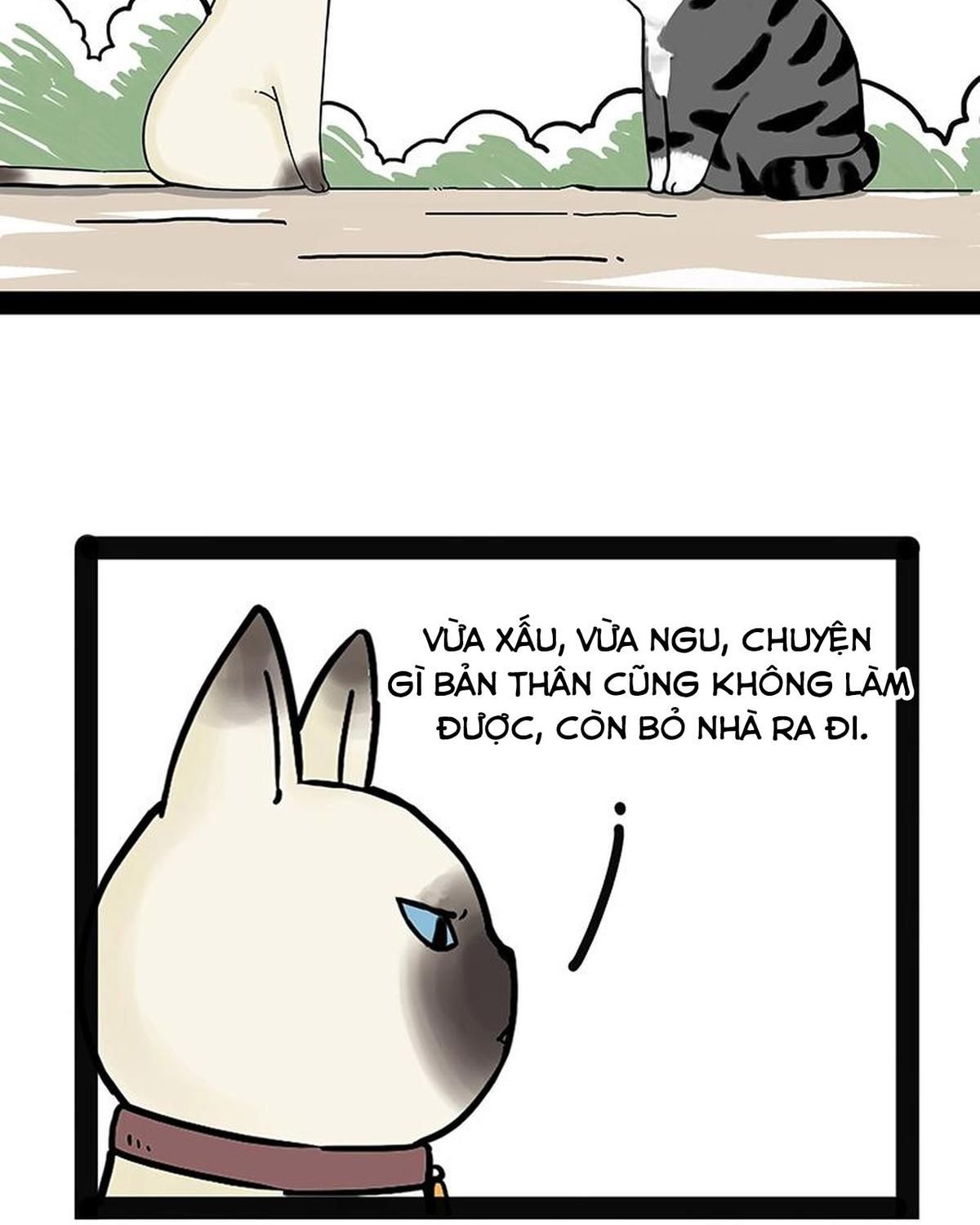 Hoàng Thượng và Ba Trát Hắc Chap 171 - Next Chap 172