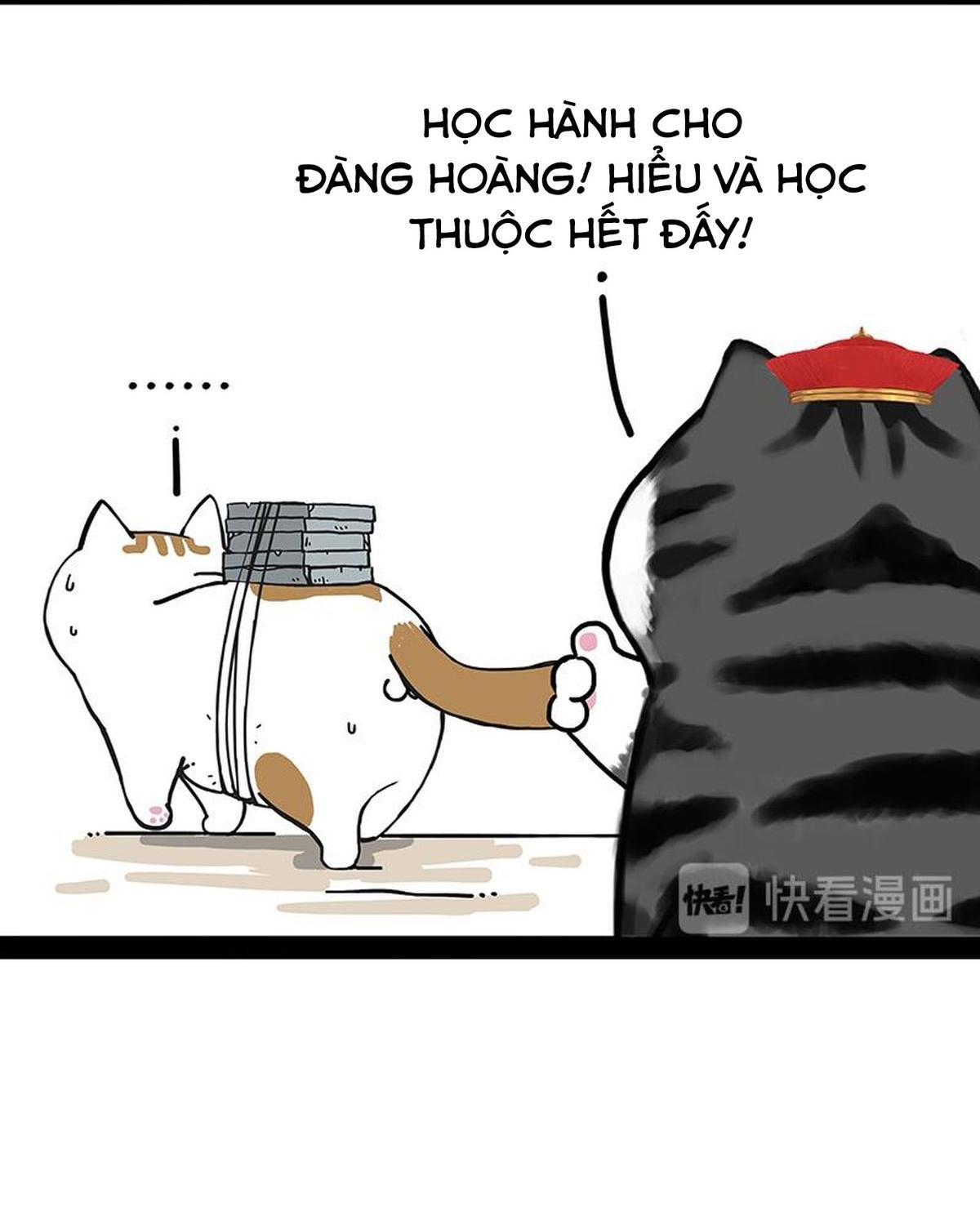 Hoàng Thượng và Ba Trát Hắc Chap 238 - Next Chap 239