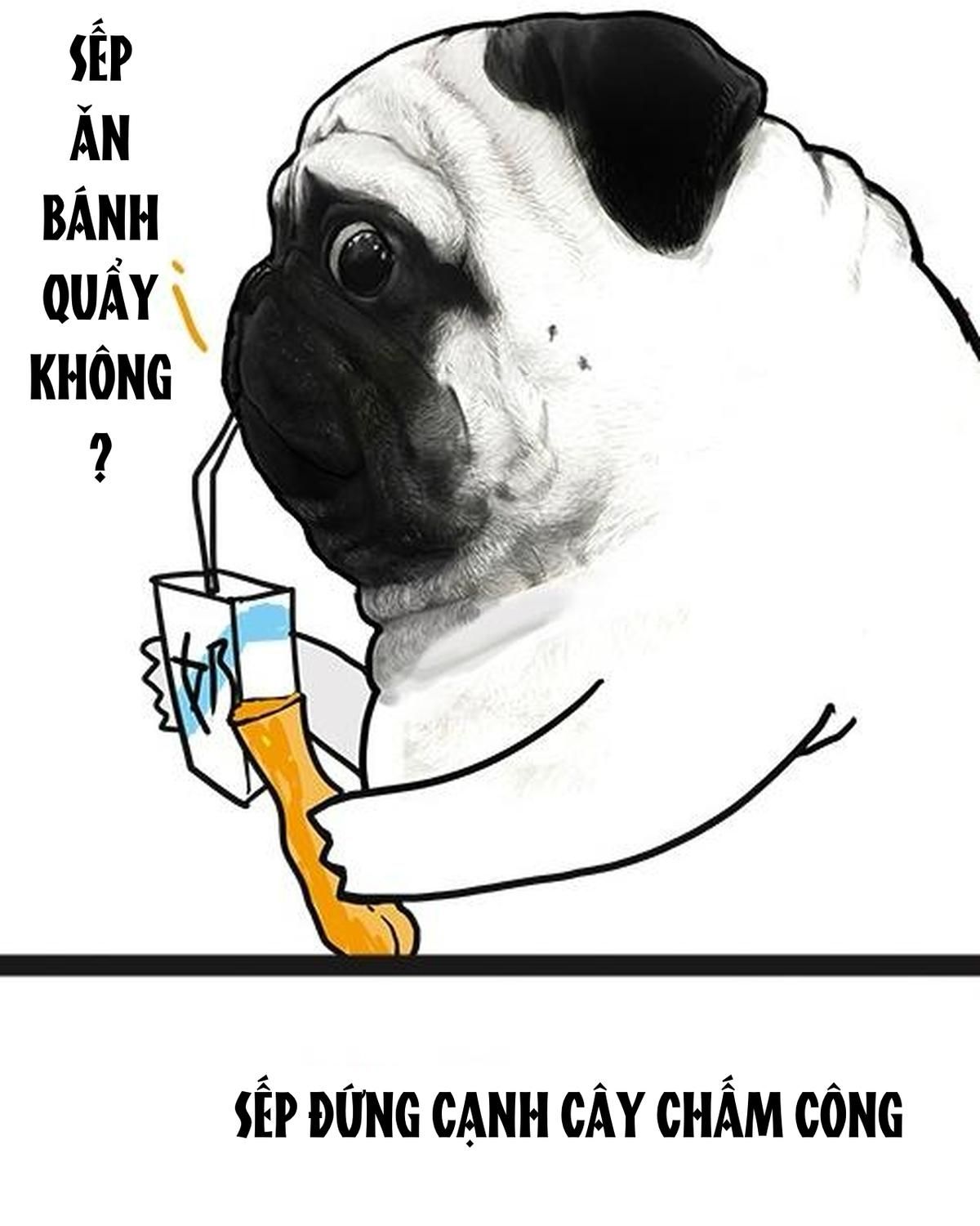 Hoàng Thượng và Ba Trát Hắc Chap 24 - Next Chap 25