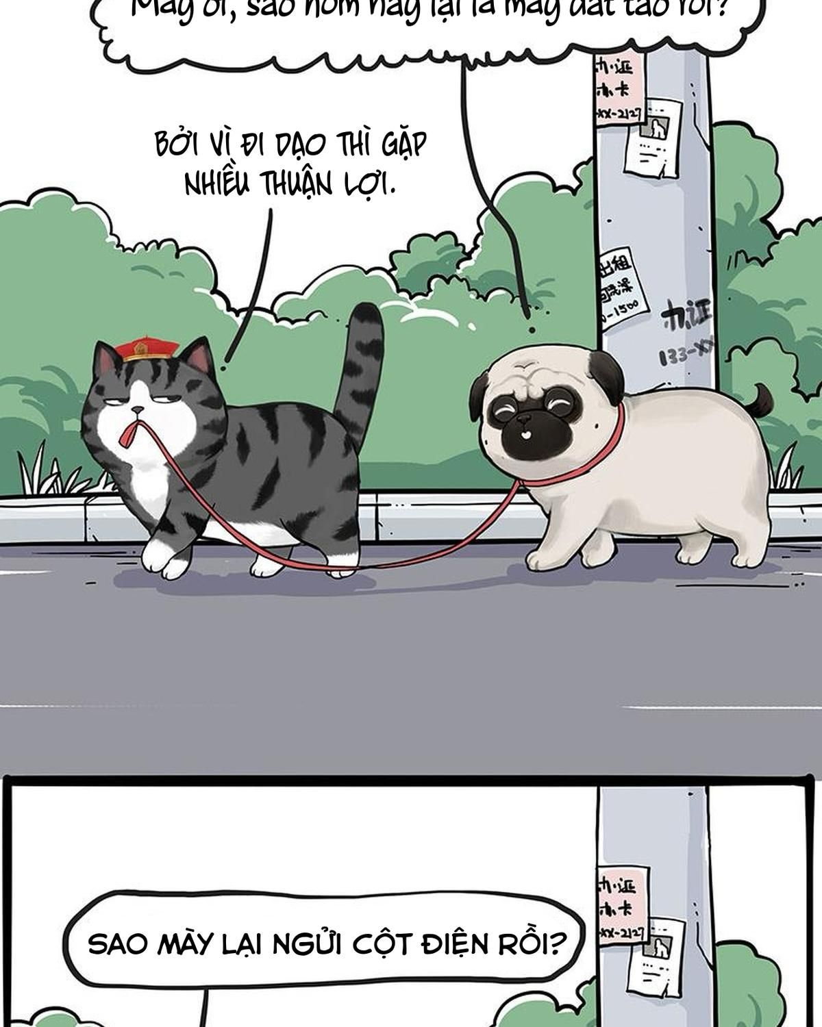 Hoàng Thượng và Ba Trát Hắc Chap 258 - Next Chap 259