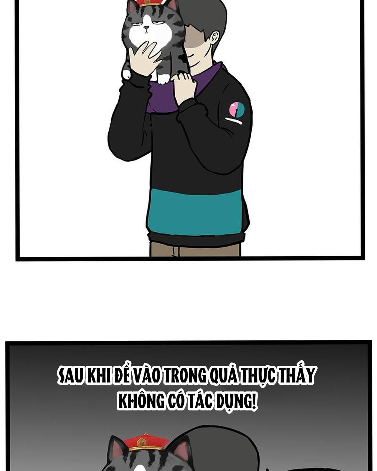 Hoàng Thượng và Ba Trát Hắc Chap 259 - Next Chap 260