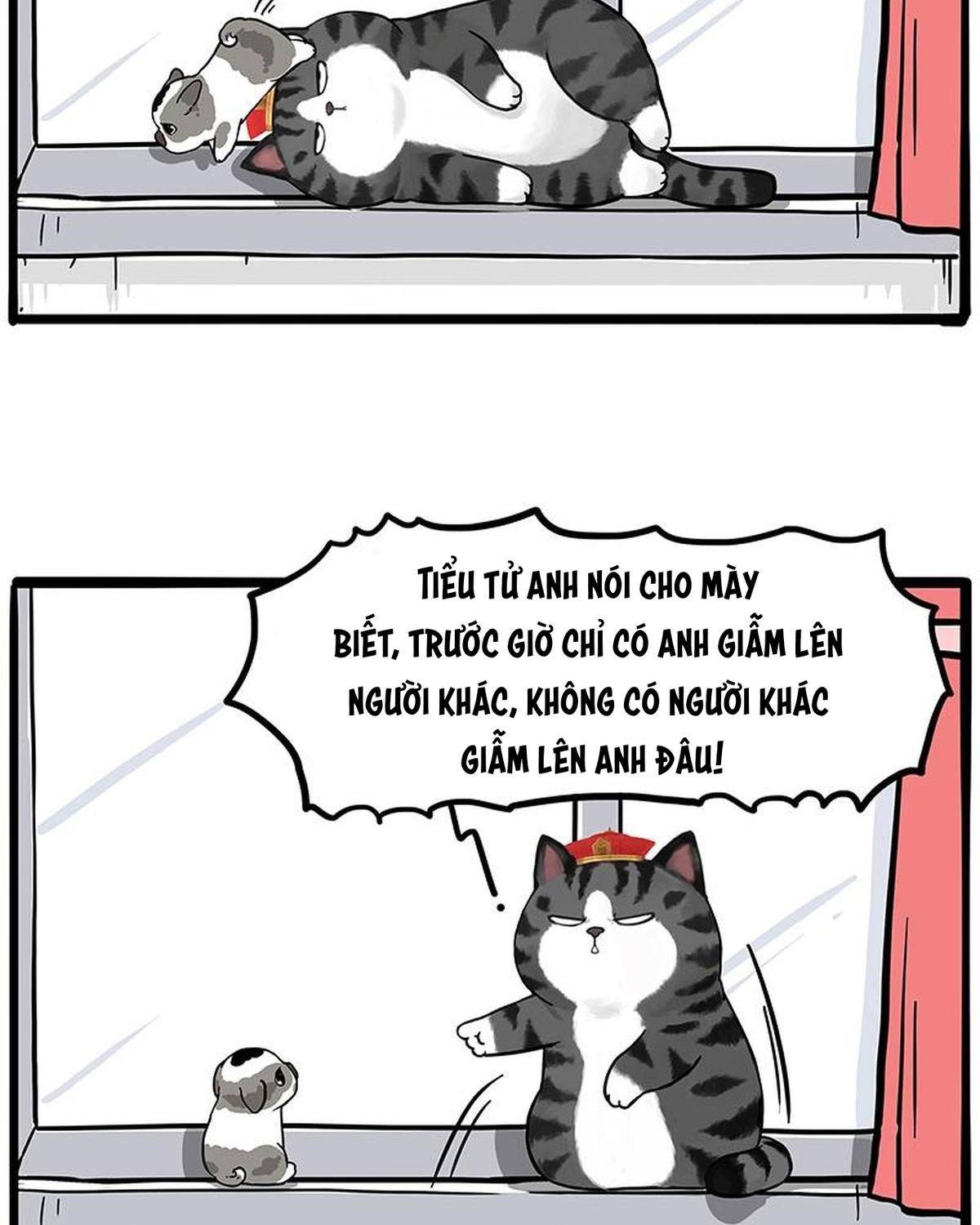 Hoàng Thượng và Ba Trát Hắc Chap 269 - Next Chap 270