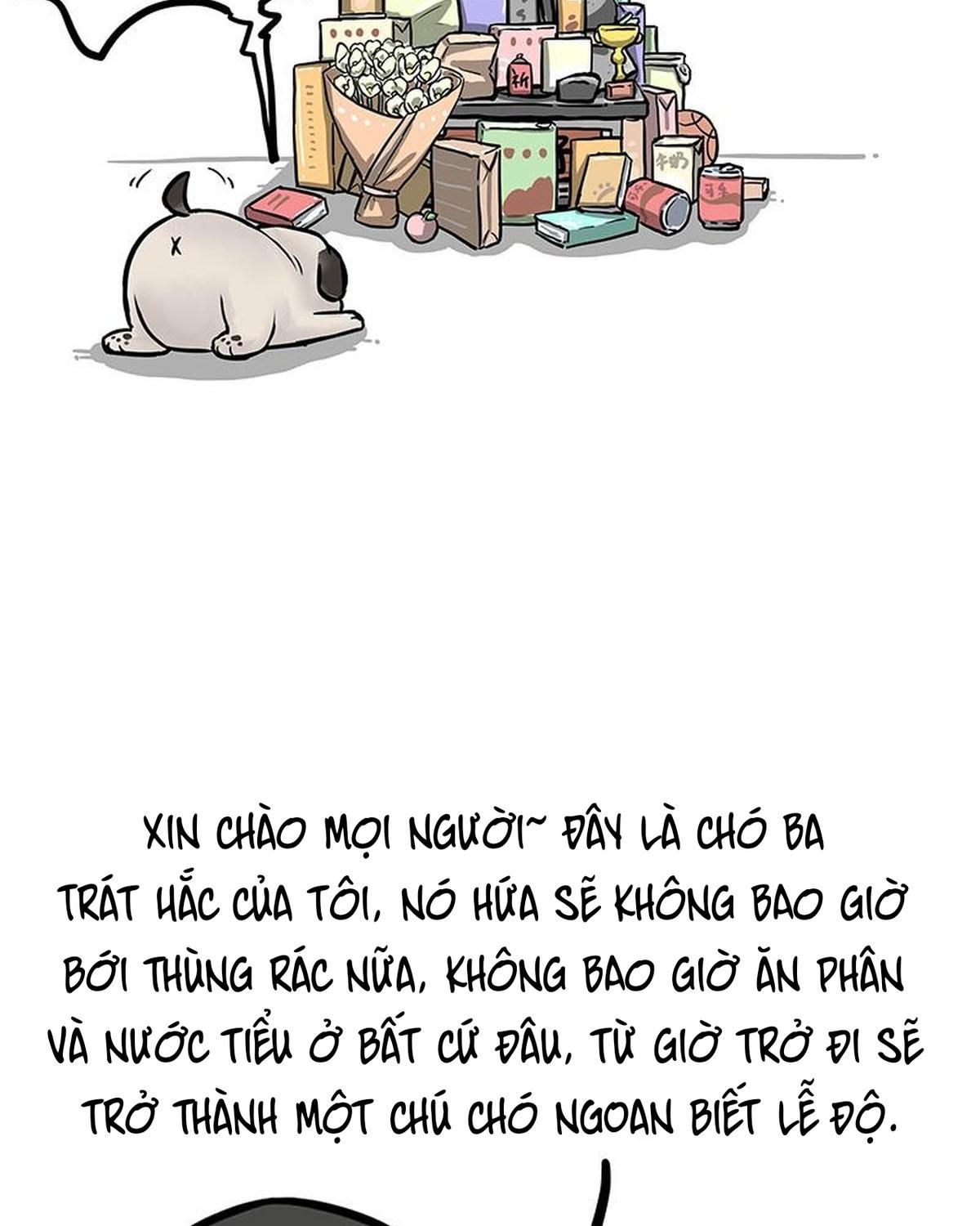 Hoàng Thượng và Ba Trát Hắc Chap 276 - Next Chap 277