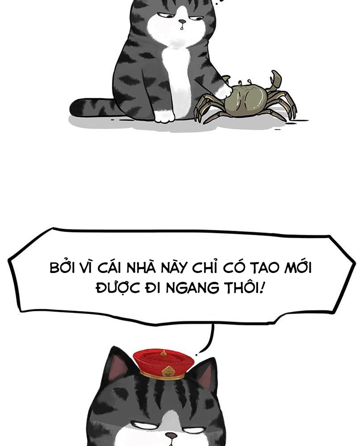 Hoàng Thượng và Ba Trát Hắc Chap 286 - Next Chap 287