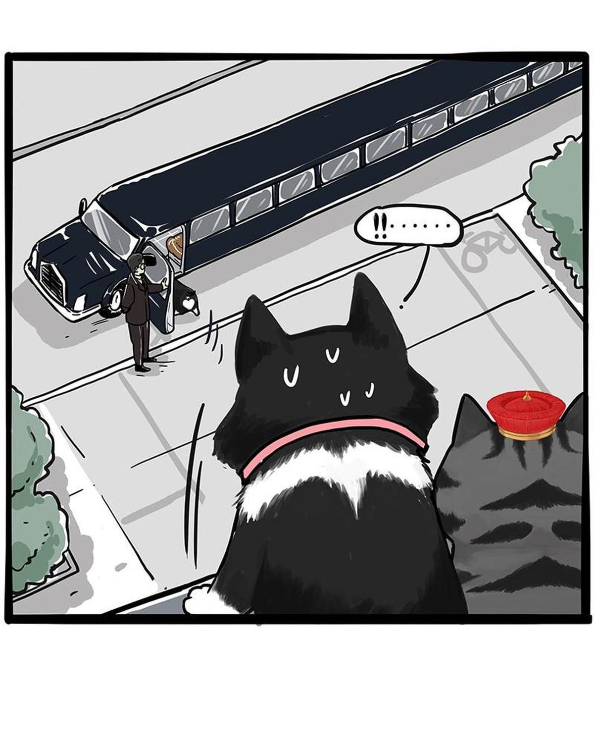 Hoàng Thượng và Ba Trát Hắc Chap 289 - Next Chap 290