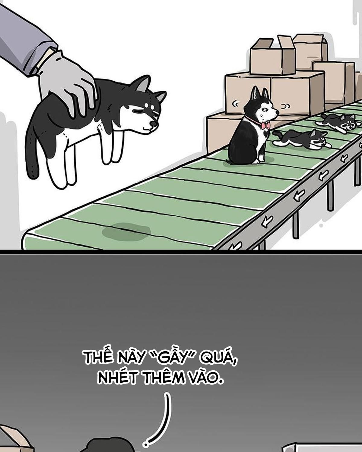 Hoàng Thượng và Ba Trát Hắc Chap 304 - Next Chap 305